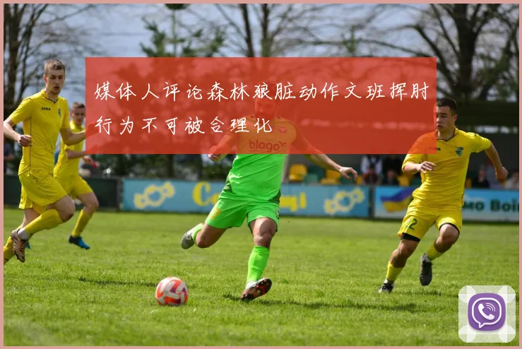 媒体人评论森林狼脏动作文班挥肘行为不可被合理化